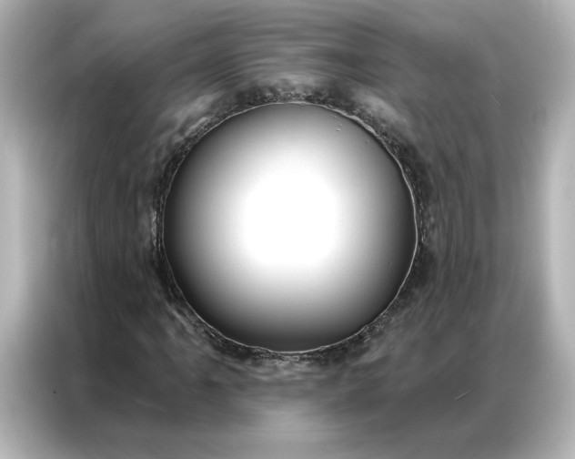 X0000086901061200704301012