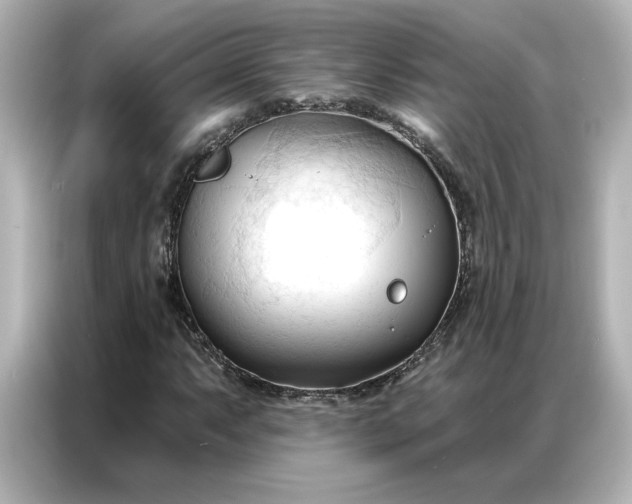 X0000086901063200704301012