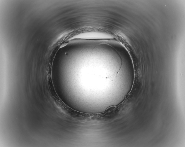 X0000086901064200704301012