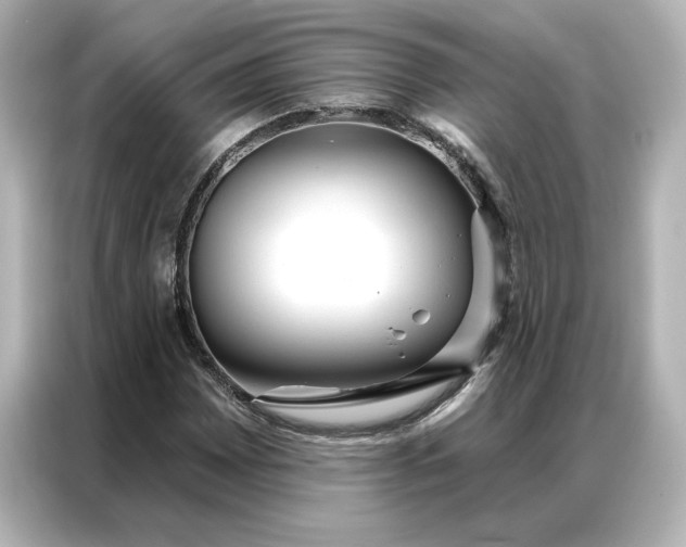 X0000086901065200704301012