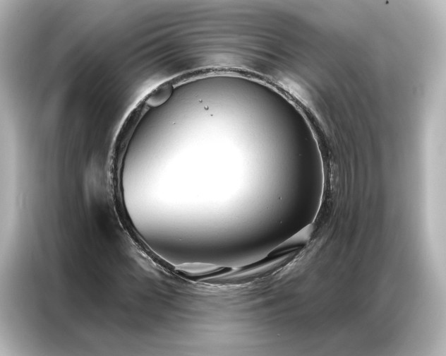 X0000086901068200704301012