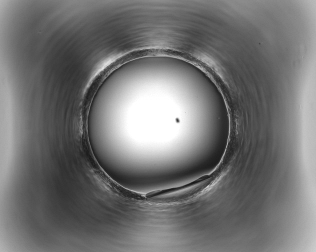 X0000086901069200704301012