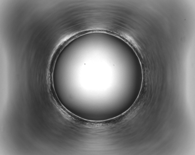 X0000086901072200704301012