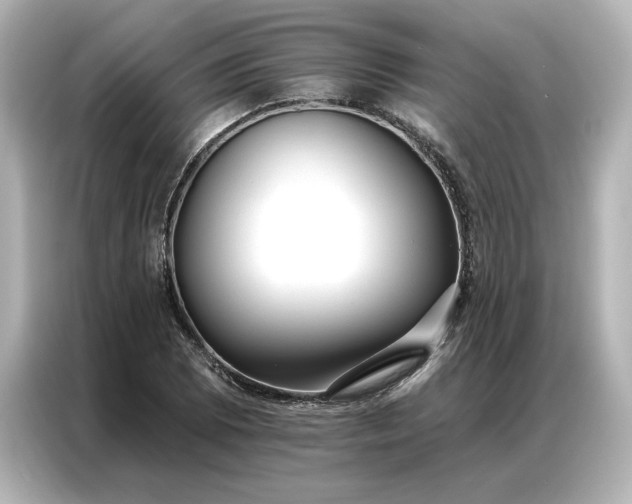 X0000086901073200704301012