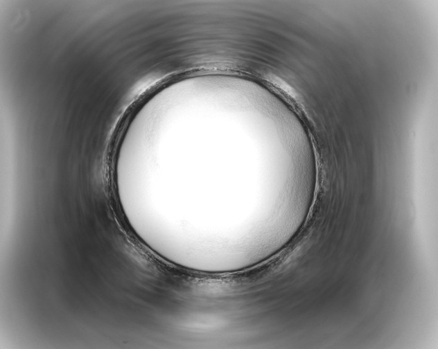 X0000086901074200704301012