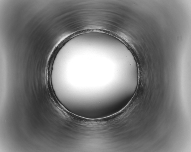 X0000086901076200704301012