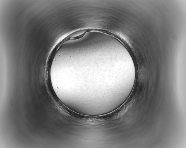 X0000086901077200704301012