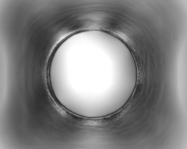 X0000086901086200704301012