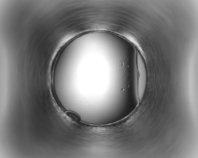 X0000086901088200704301012