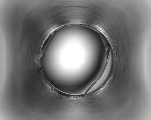 X0000086901089200704301012