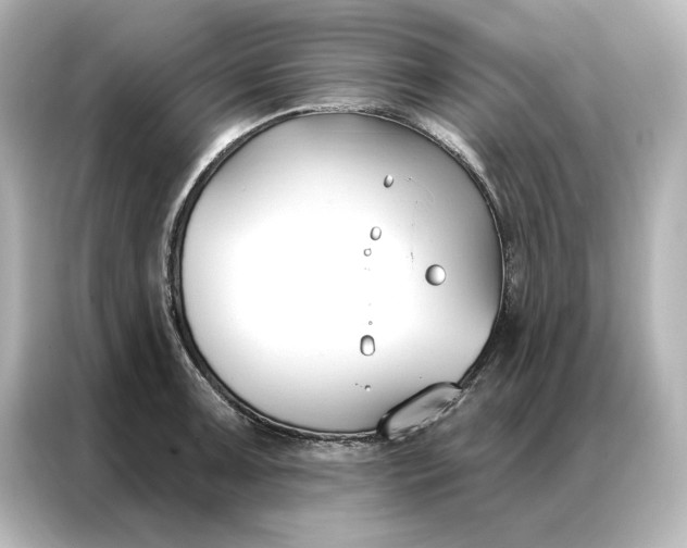 X0000086901091200704301012