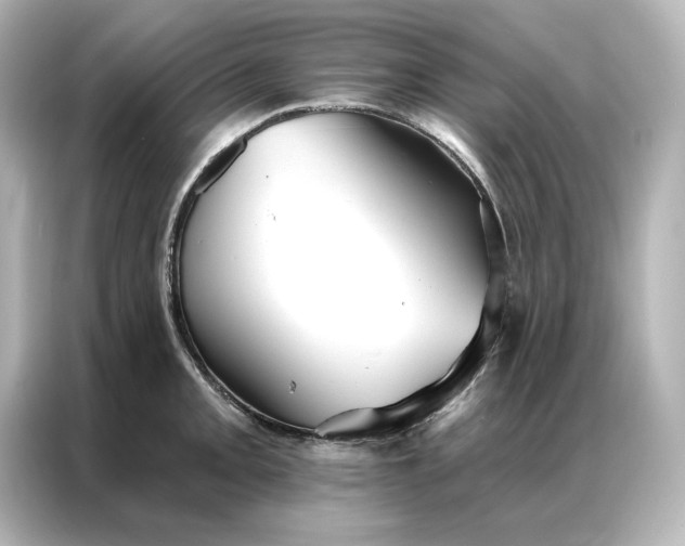 X0000086901093200704301012