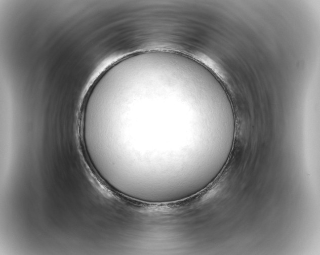 X0000086901094200704301012