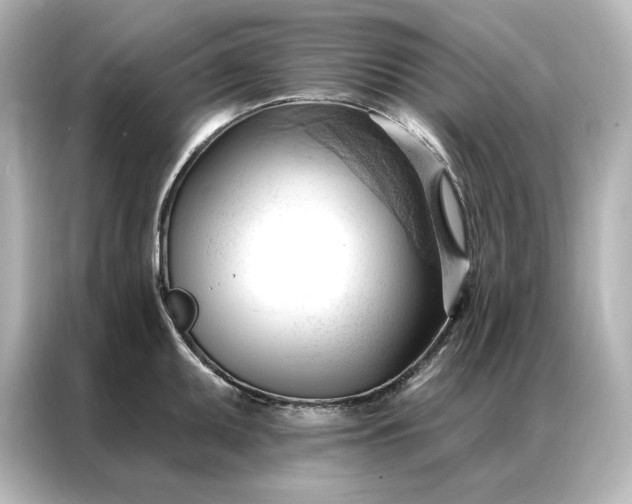 X0000086901095200704301012