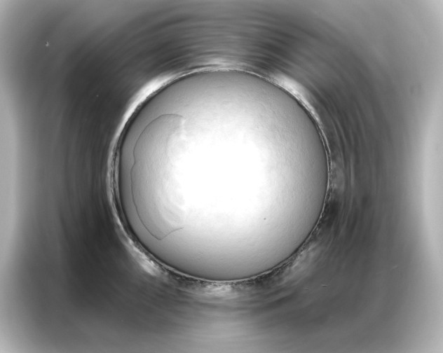 X0000086901098200704301012