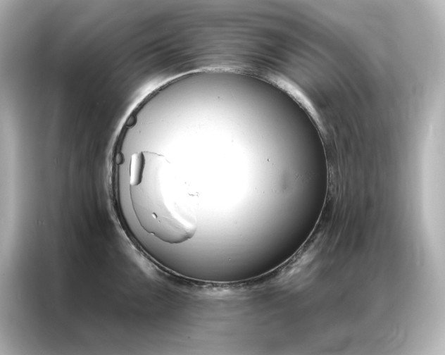 X0000086901099200704301012