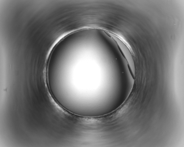 X0000086901100200704301012