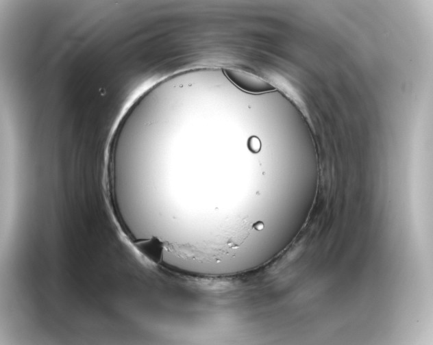 X0000086901103200704301012