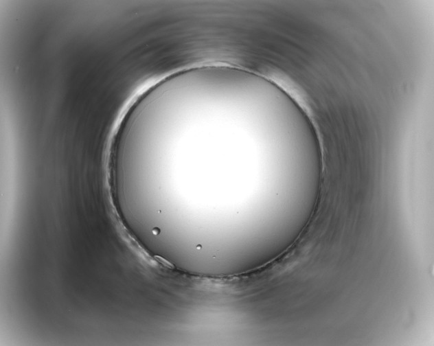 X0000086901104200704301012