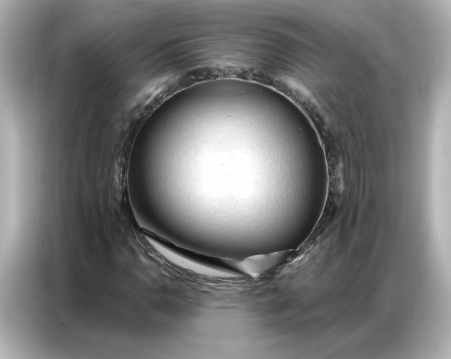 X0000086901110200704301011