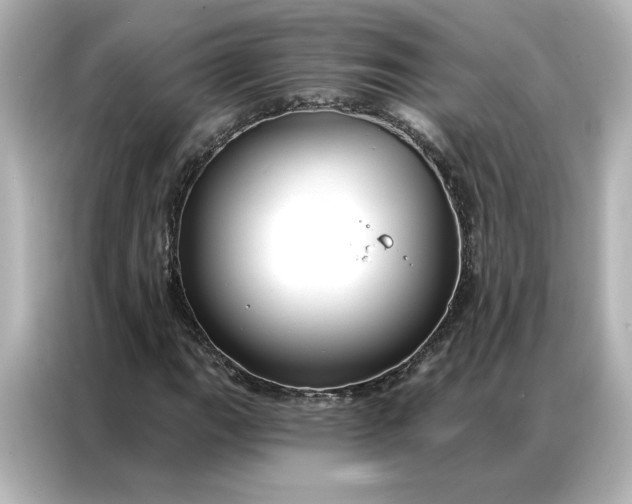 X0000086901111200704301011