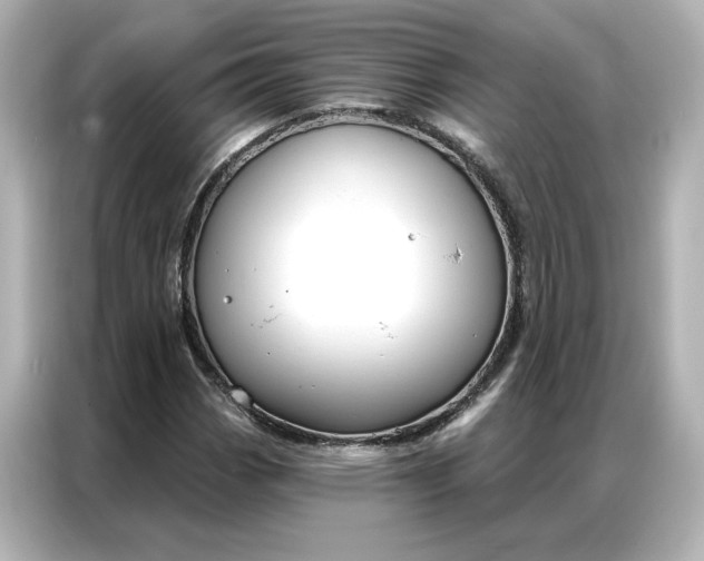 X0000086901113200704301011