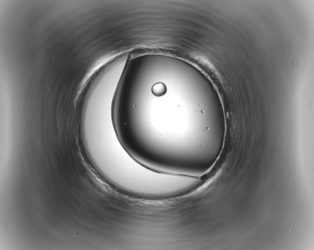 X0000086901114200704301011