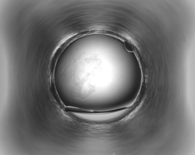 X0000086901117200704301011