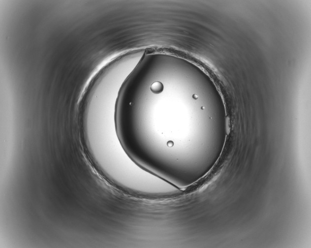 X0000086901118200704301011