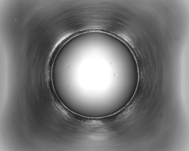 X0000086901119200704301011