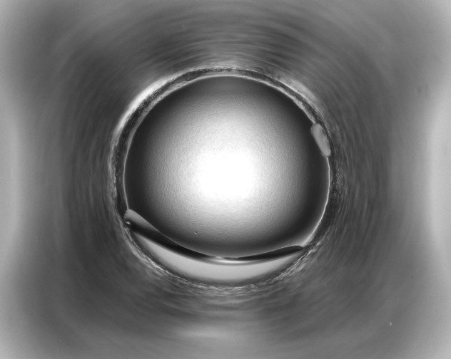 X0000086901120200704301011