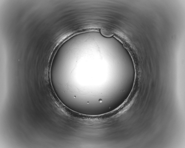 X0000086901121200704301011