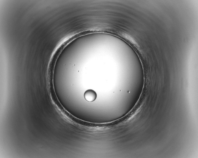 X0000086901122200704301011