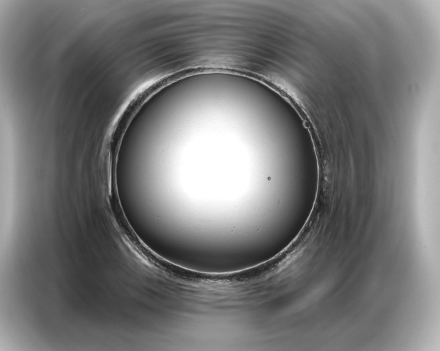 X0000086901123200704301011