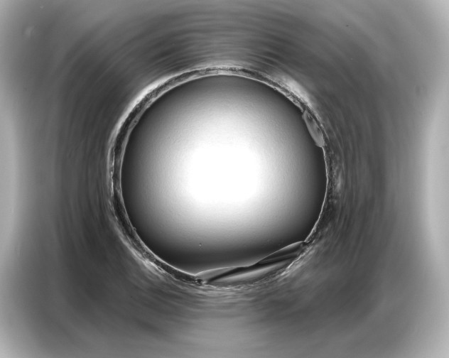 X0000086901124200704301011