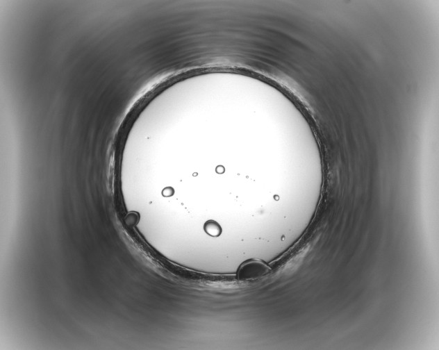 X0000086901126200704301011