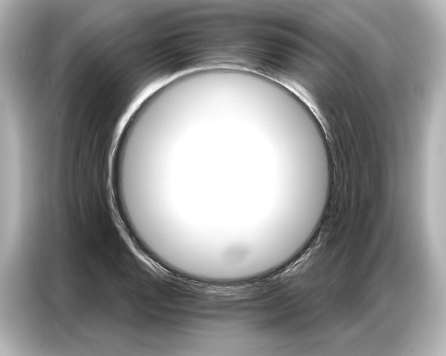 X0000086901128200704301011