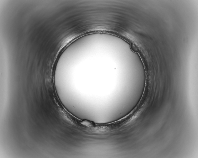 X0000086901129200704301012