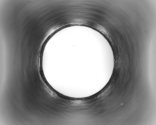 X0000086901130200704301012