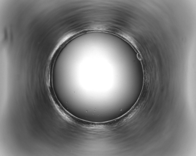 X0000086901131200704301012