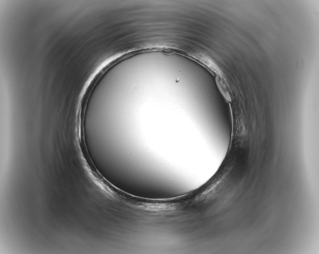 X0000086901132200704301012