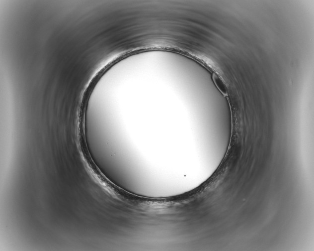 X0000086901134200704301012