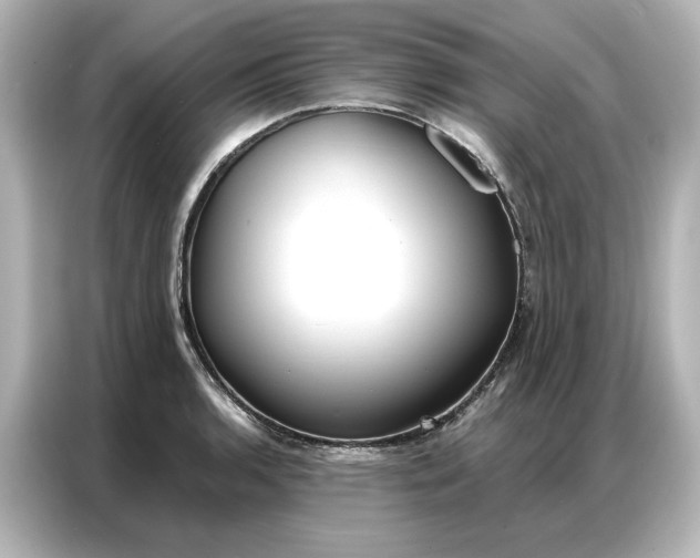 X0000086901136200704301012