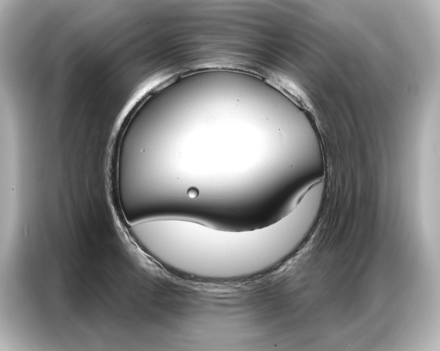 X0000086901138200704301012