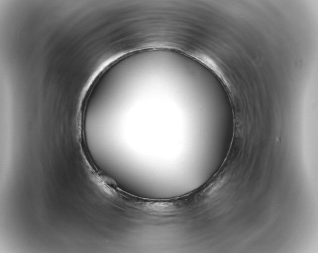 X0000086901140200704301012