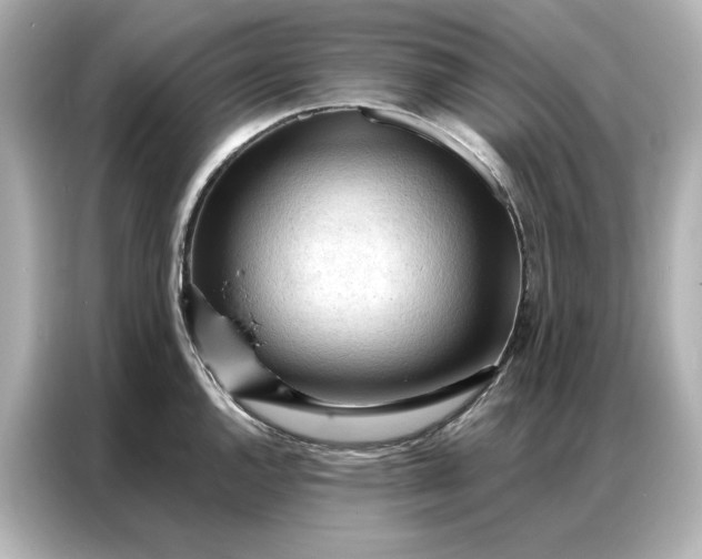 X0000086901144200704301012