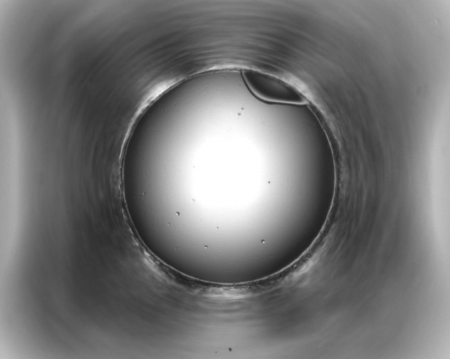 X0000086901145200704301012