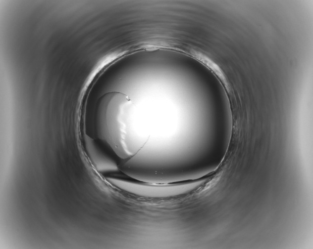 X0000086901146200704301012