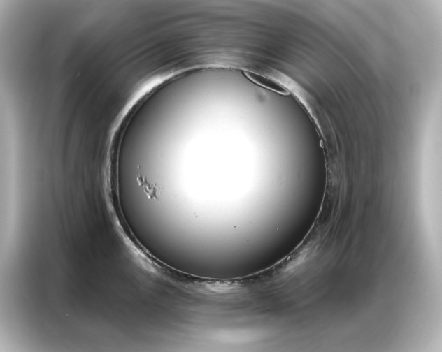 X0000086901147200704301012