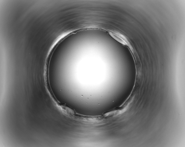 X0000086901149200704301012